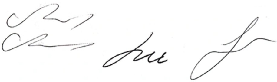 Красивая подпись