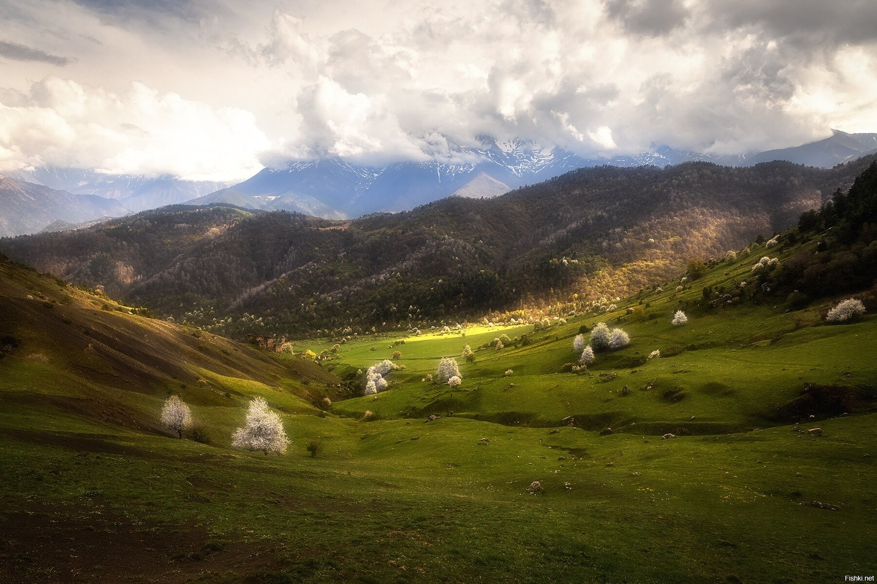 Сами ингушетия. Фотографы в Ингушетии.