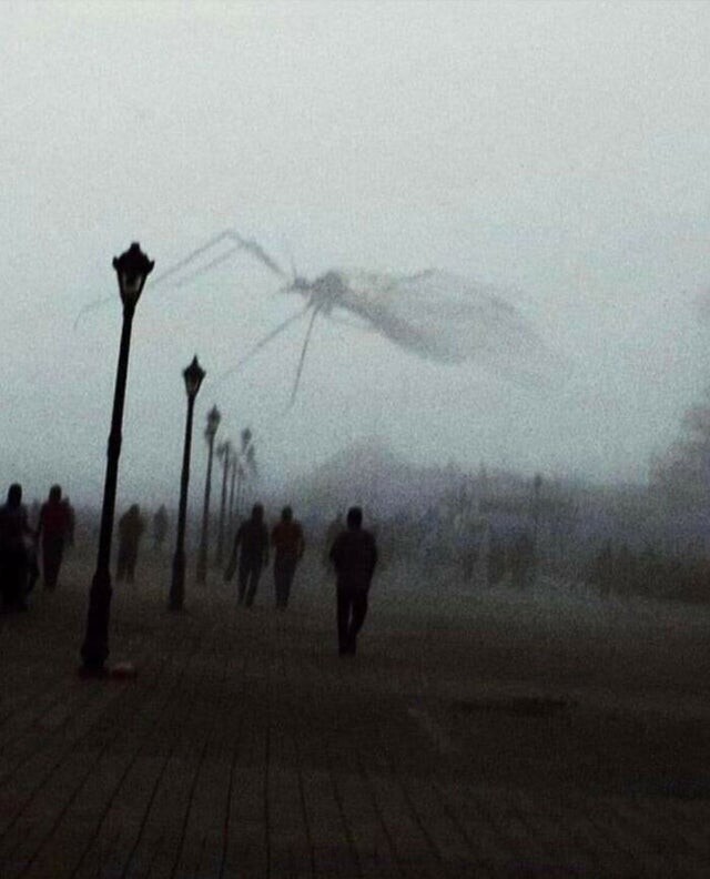 Этот комар из фильма ужасов