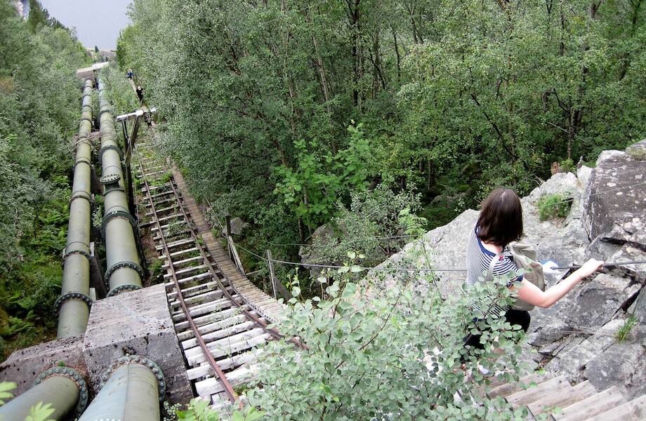Флерли: самая длинная деревянная лестница в мире, состоящая из 4 444 ступеней