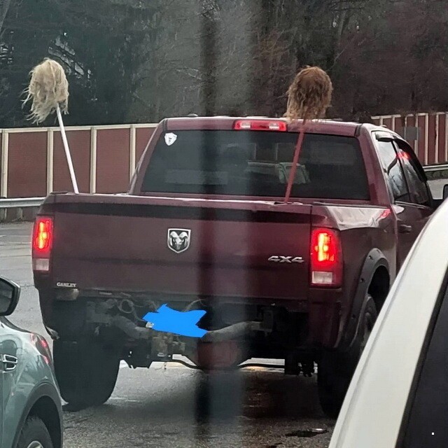 Автовсячина