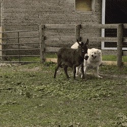 С добрым утром!