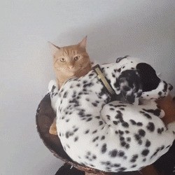 С добрым утром!