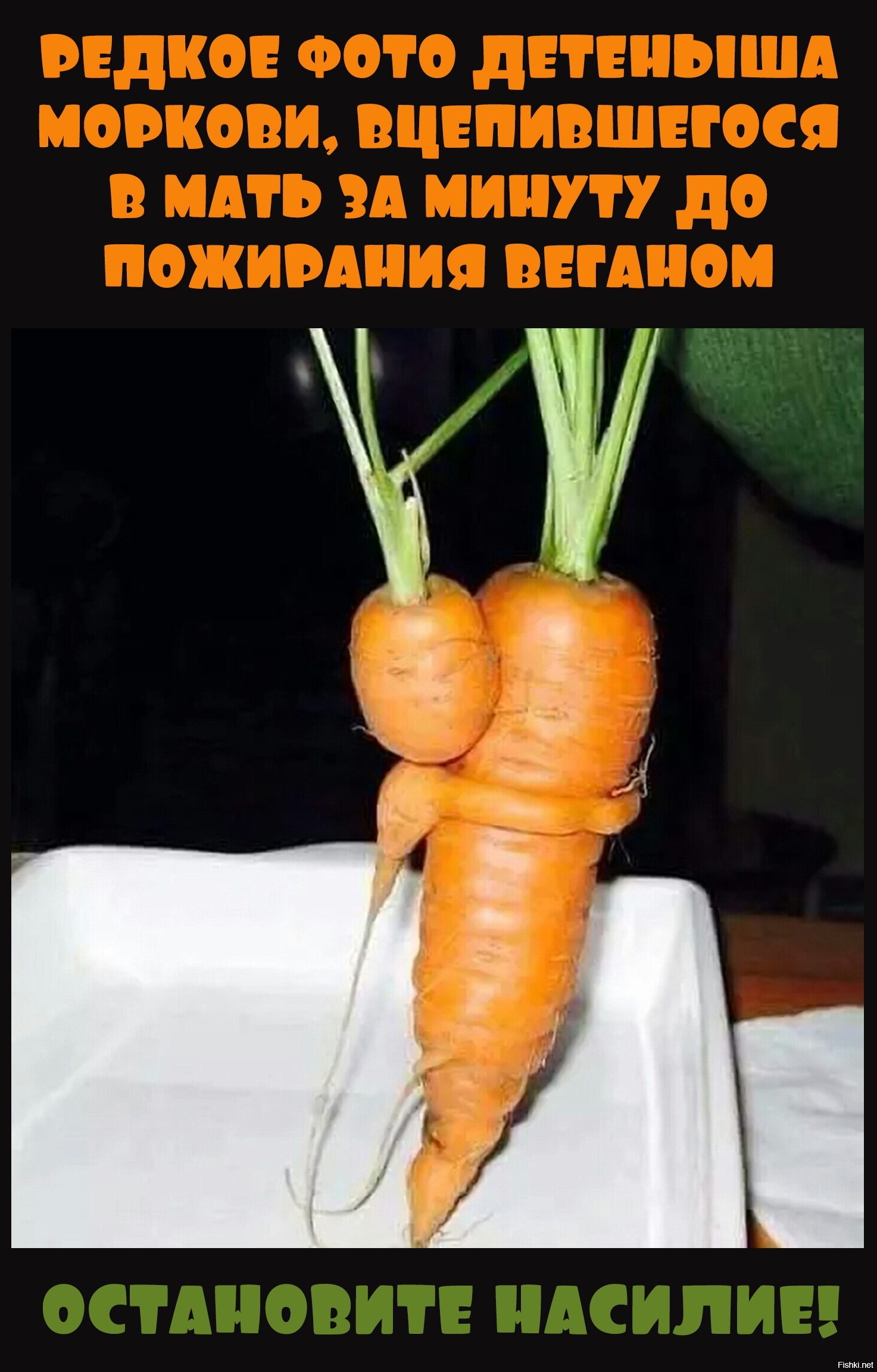 Включи морковочка. Смешная морковь. Шутки про морковку. Морковка прикол. Маленькая морковь.