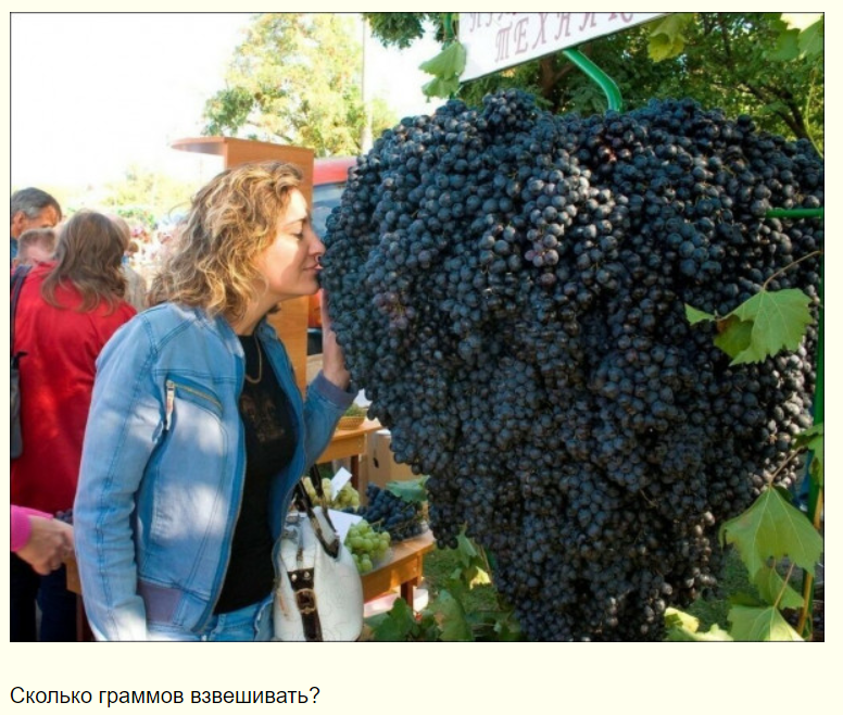 Калейдоскоп позитива. Выпуск 140
