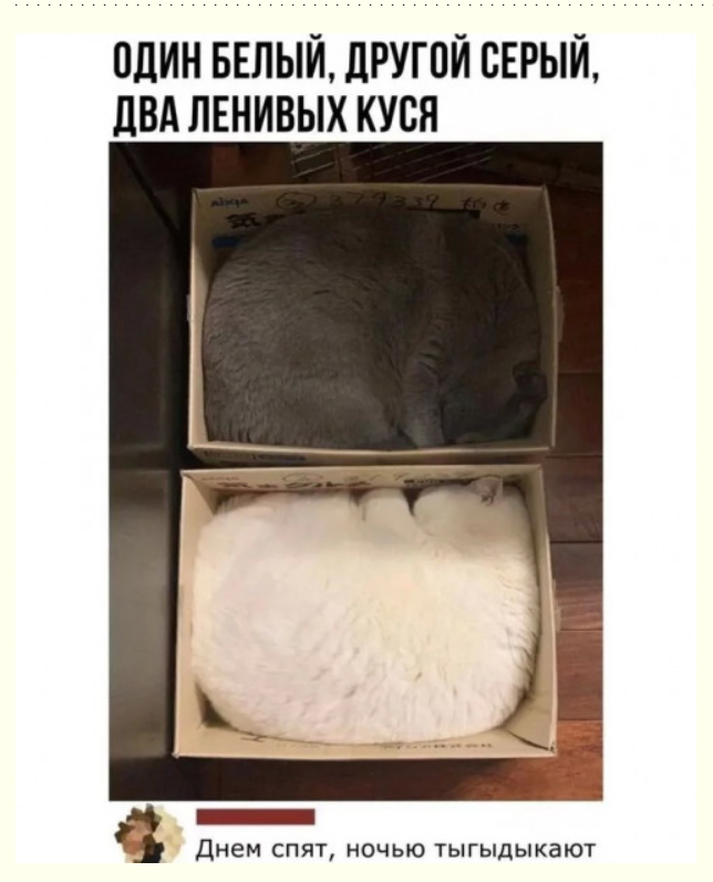 Калейдоскоп позитива. Выпуск 140