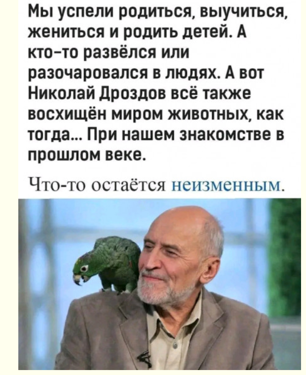 Калейдоскоп позитива. Выпуск 140
