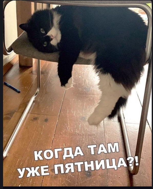 Калейдоскоп позитива. Выпуск 140