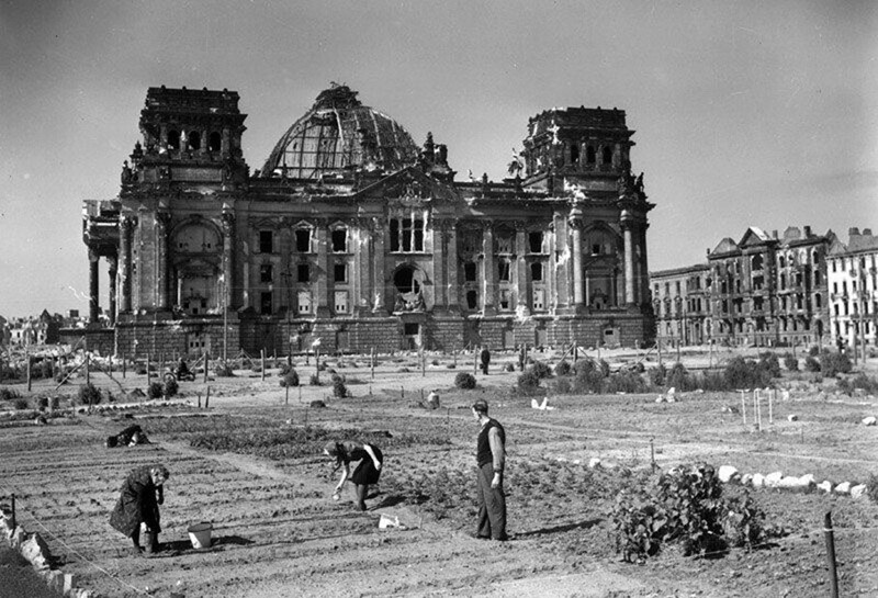 Нeмцы сажают овощи пeред здaнием рейхстага, 1946 год