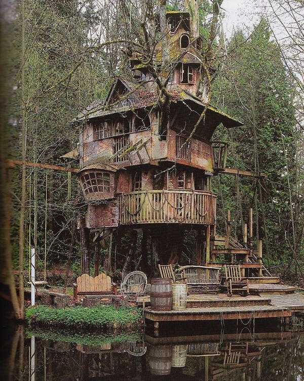 9. Забытый домик на дереве в Редмонде, штат Вашингтон