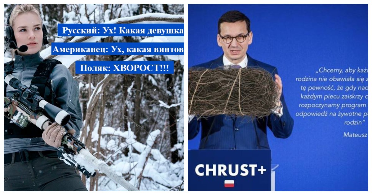 Оскорбленные поляки рисуют мемы в ответ на разрешение правительства собирать в лесах хворост