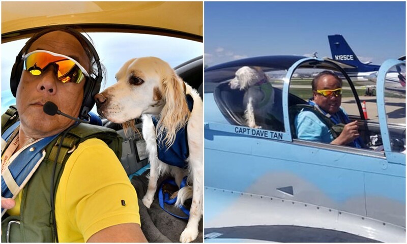 Пилот на пенсии перевозит животных, которым нужна помощь