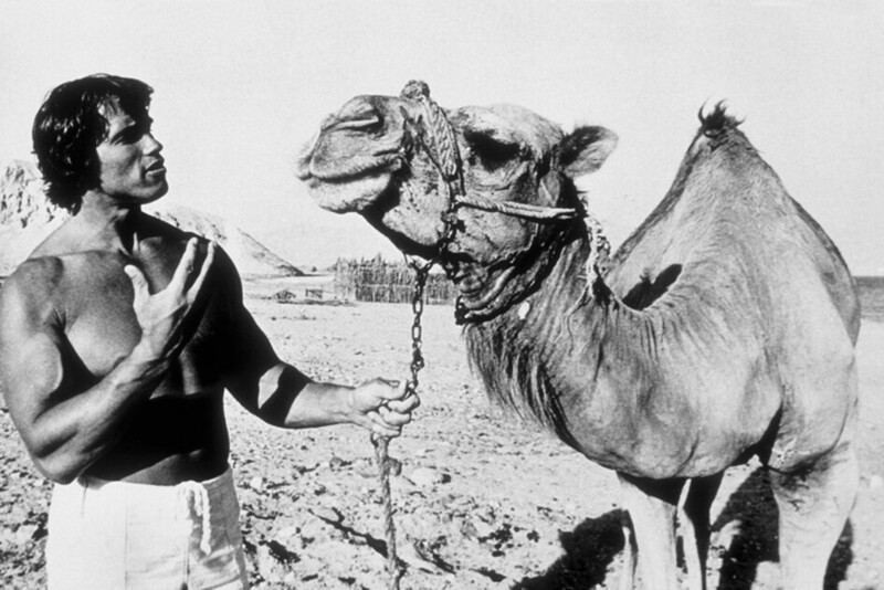 Арнольд Шварценеггер позирует с верблюдом. 1977 год