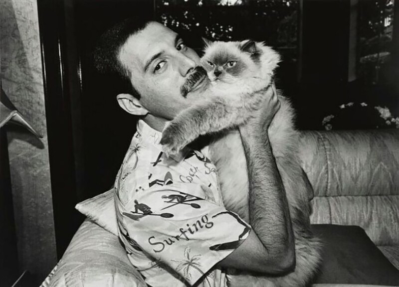 Фредди Меркьюри со своей кошкой Тиффани в своем лондонском доме, 1988 год