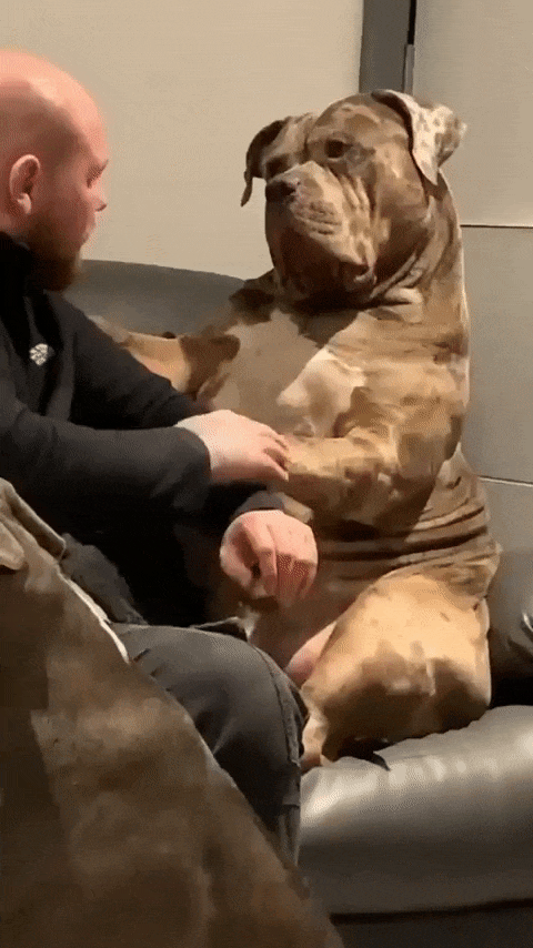 Друг, который всегда выслушает