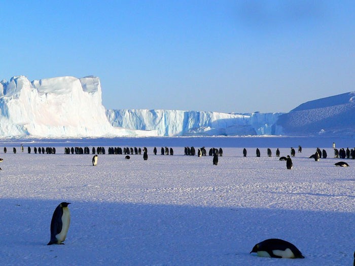 1. "Антарктида — самая большая пустыня в мире, так как здесь не бывает осадков".
