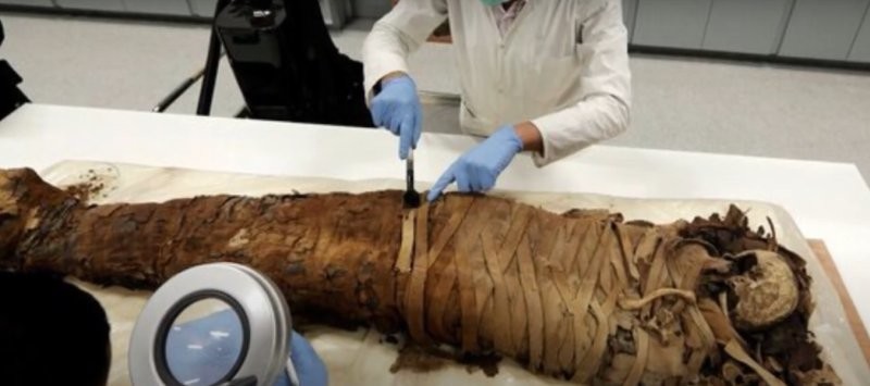 На какой результат надеялись европейцы, поедающие мумий?