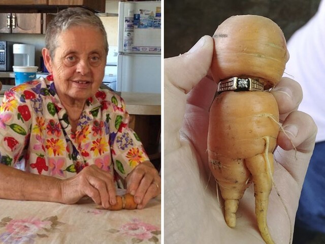 Эта женщина потеряла свое обручальное кольцо 13 лет назад и нашла его на моркови, которую сорвала у себя во дворе
