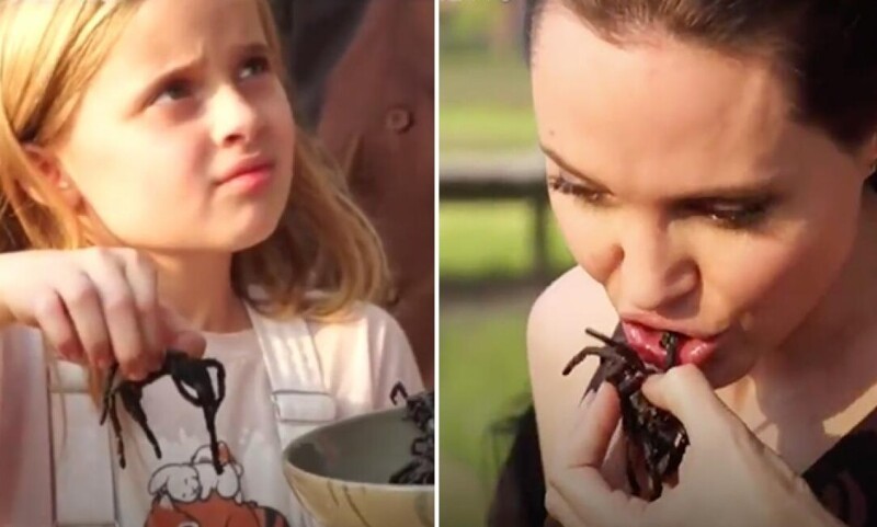 Нет времени объяснять, ешь жуков и гусениц: Джоли стала амбассадором диеты из насекомых