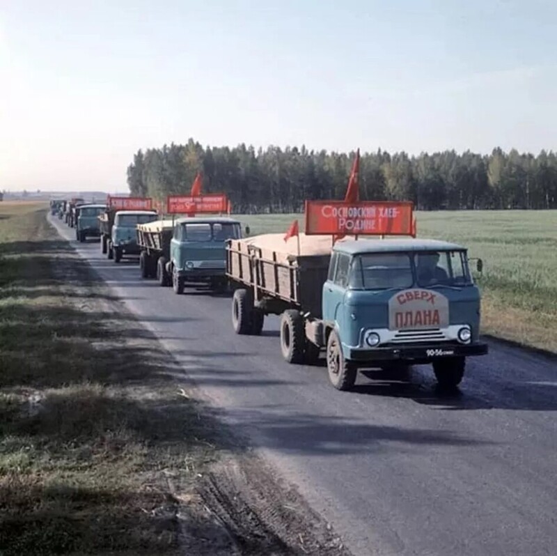 Колонна седельных тягачей КАЗ-608 «Колхида» с бортовыми полуприцепами