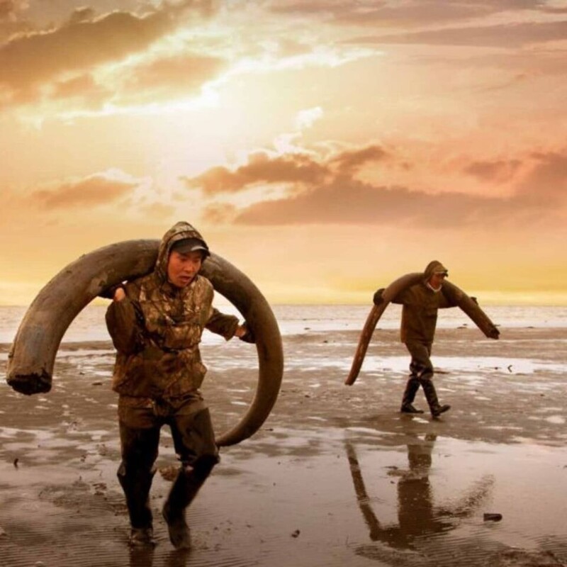 Эти мужчины нашли бивни мамонта, Монголия