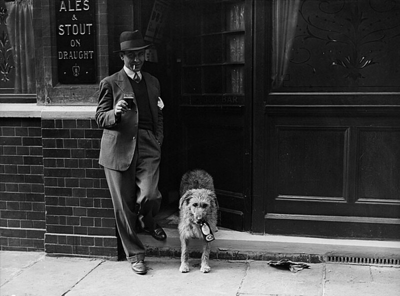  Домашняя собака и ее владелец пьют пиво в пабе, 1931 год