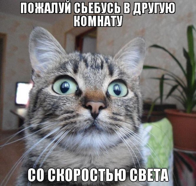 Смешные и познавательные картинки