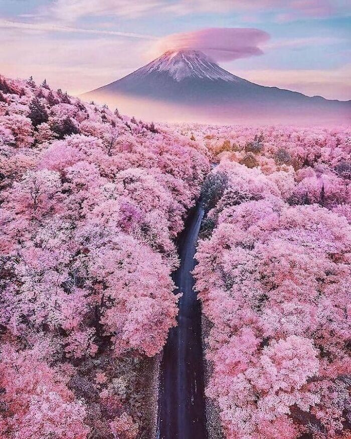 2. Гора Фудзи, Япония