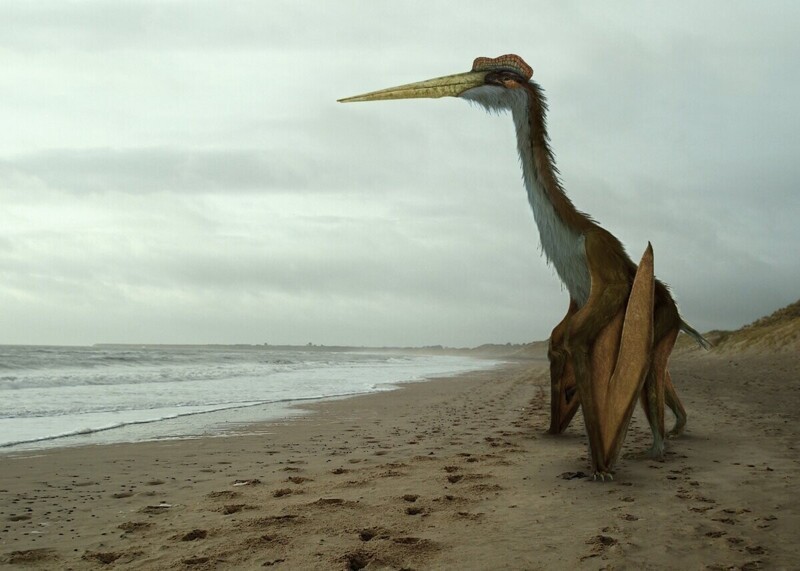 Как выглядел птерозавр размером с истребитель