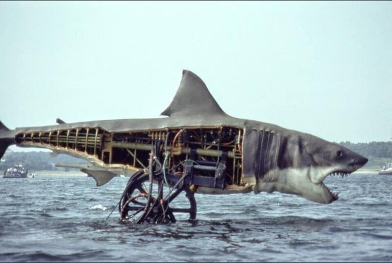 Вид сбоку акулы-убийцы из фильма "Челюсти"