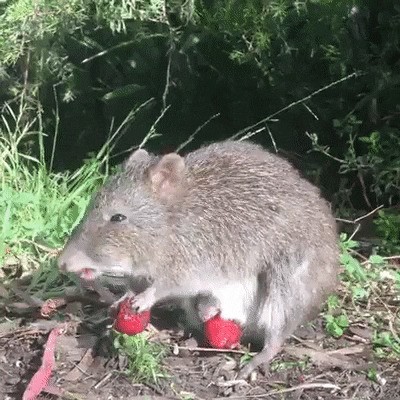 Просто гифки, всякие и разные