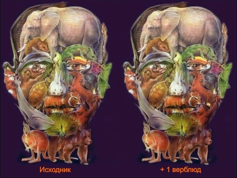 Тесты альцгеймера по картинкам