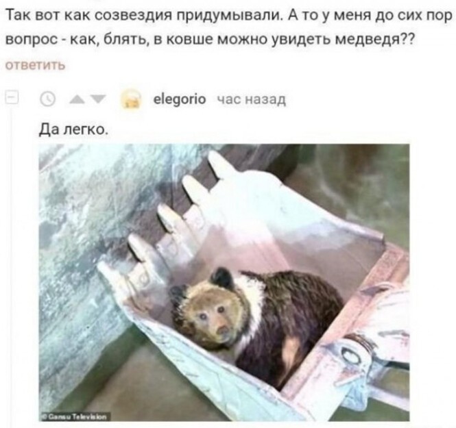 Смешные и познавательные картинки