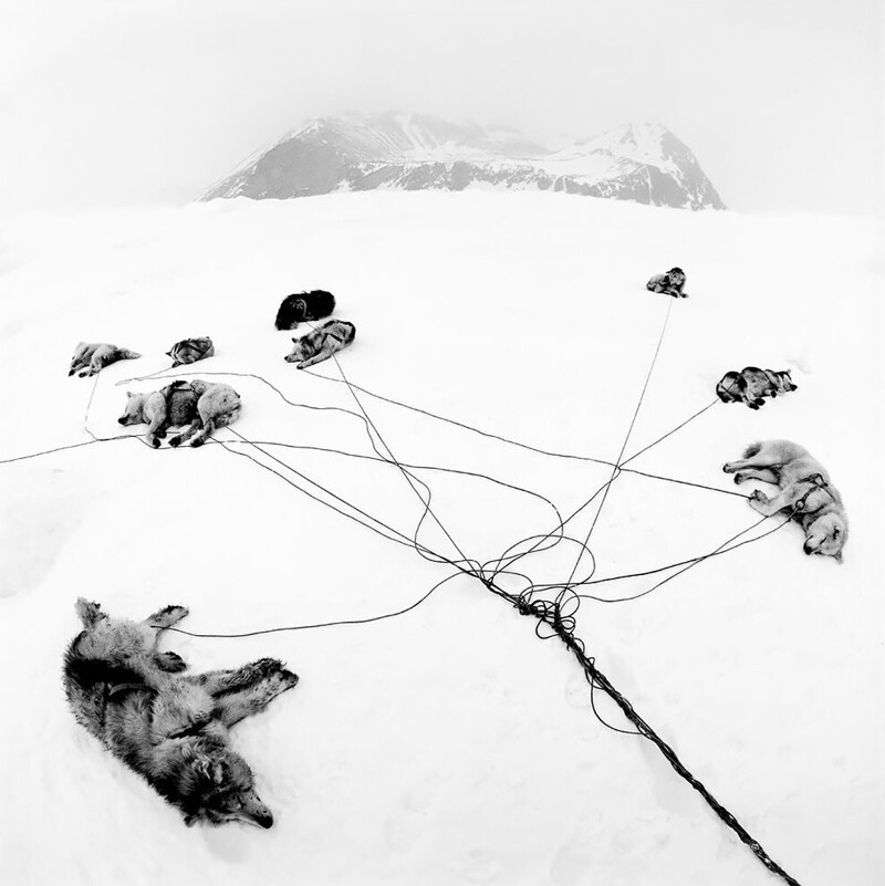 Пол Хермансен, «После поездки», 1998, восточная Гренландия