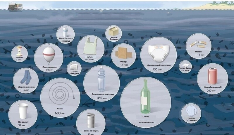 Время разложения мусора в океане