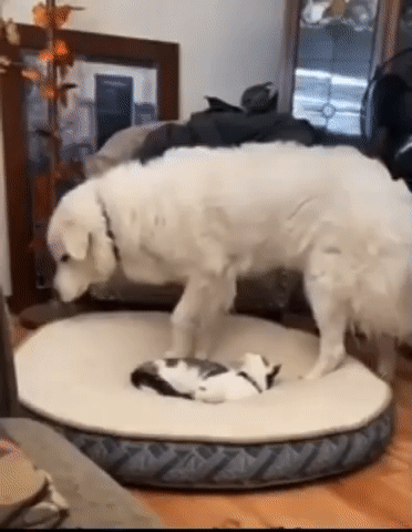 Вообще-то это мое место