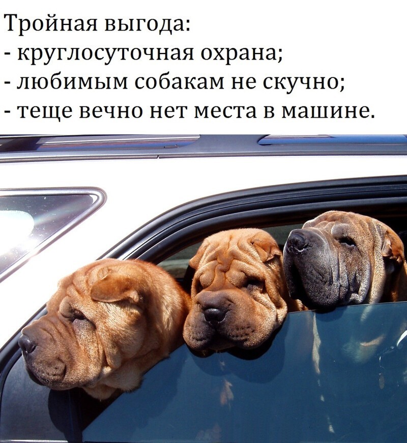 Пост милоты