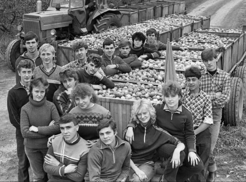 1970-е годы и всегда... Битва молодёжи за картошку...