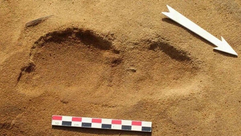 7. На пляжах в коммуне Ле Розель, Франция, нашли сотни следов возрастом 80 тысяч лет. Они принадлежат детям-неандертальцам