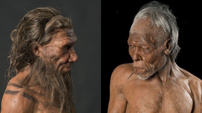 18 любопытных фактов о неандертальцах
