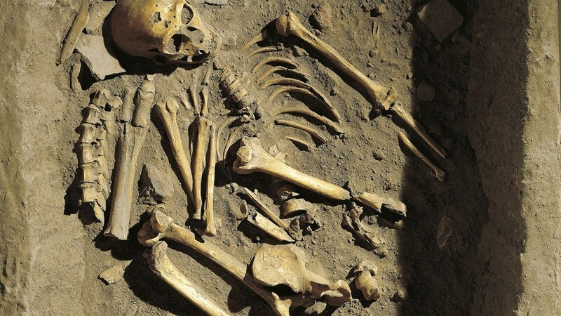 18 любопытных фактов о неандертальцах
