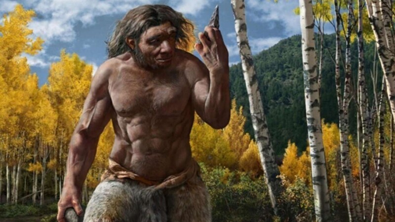 3. Средний неандерталец имел расчетный индекс массы тела 26,9-28,2 - из-за крепкого телосложения. Для современного человека это является избыточным весом