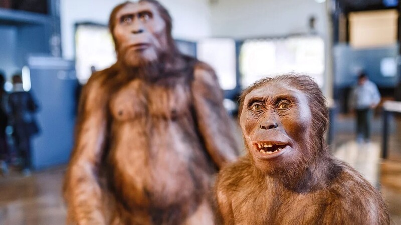 4. Предки неандертальцев и денисовцев совокуплялись с человеческим видом, который отделился от других два миллиона лет назад