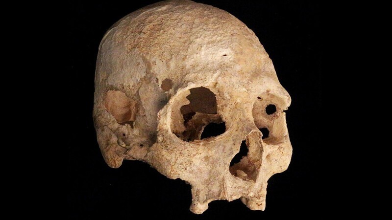 11. Скелеты Oase, которые находили в Европе, принадлежали современным европейским людям, жившим около 40 000 лет назад. Они - на 5-11% неандертальцы