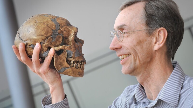 6. Неандертальцев часто считают &quot;примитивной формой человека&quot;, однако, ученые выяснили, что они были очень умными. Они использовали инструменты, имели социальные структуры, могли благополучно жить в неблагоприятных условиях, и жили долго