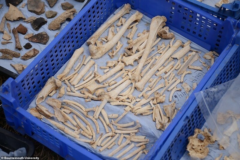 В Англии нашли захоронение возрастом 2000 лет