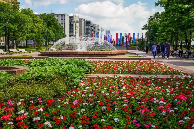В этом году на улицах и в парках Москвы расцветут 55 млн цветов (фотоподборка)