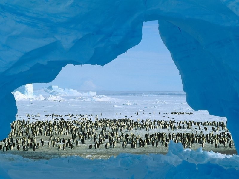 Добурились: учёные случайно нашли в Антарктике подводный мир