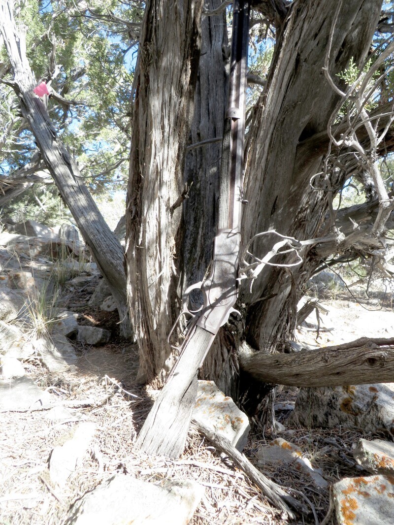 132-летняя винтовка, которая была найдена прислоненной к дереву