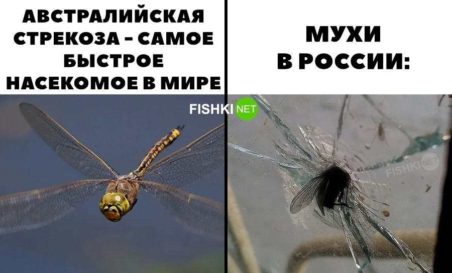 Не ищите здесь смысл. Здесь в основном маразм от АРОН за 07 июля 2022